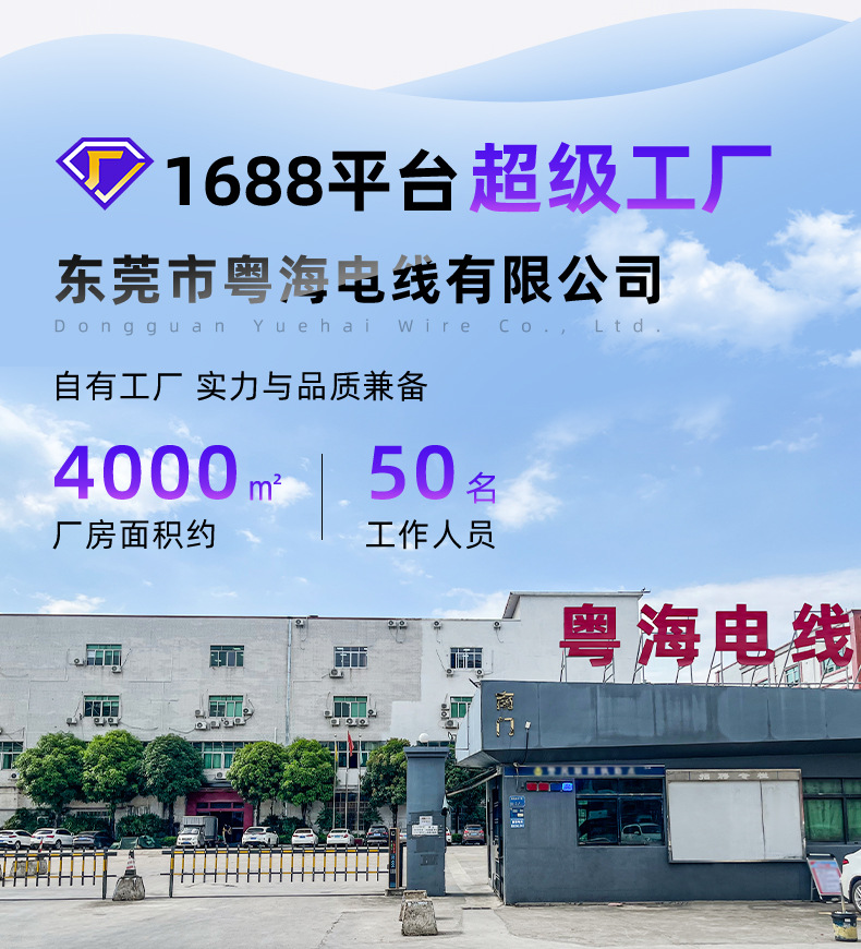 澳大利亚SAA认证带插头线澳标三插品字尾澳式两插8字尾澳规电源线详情2