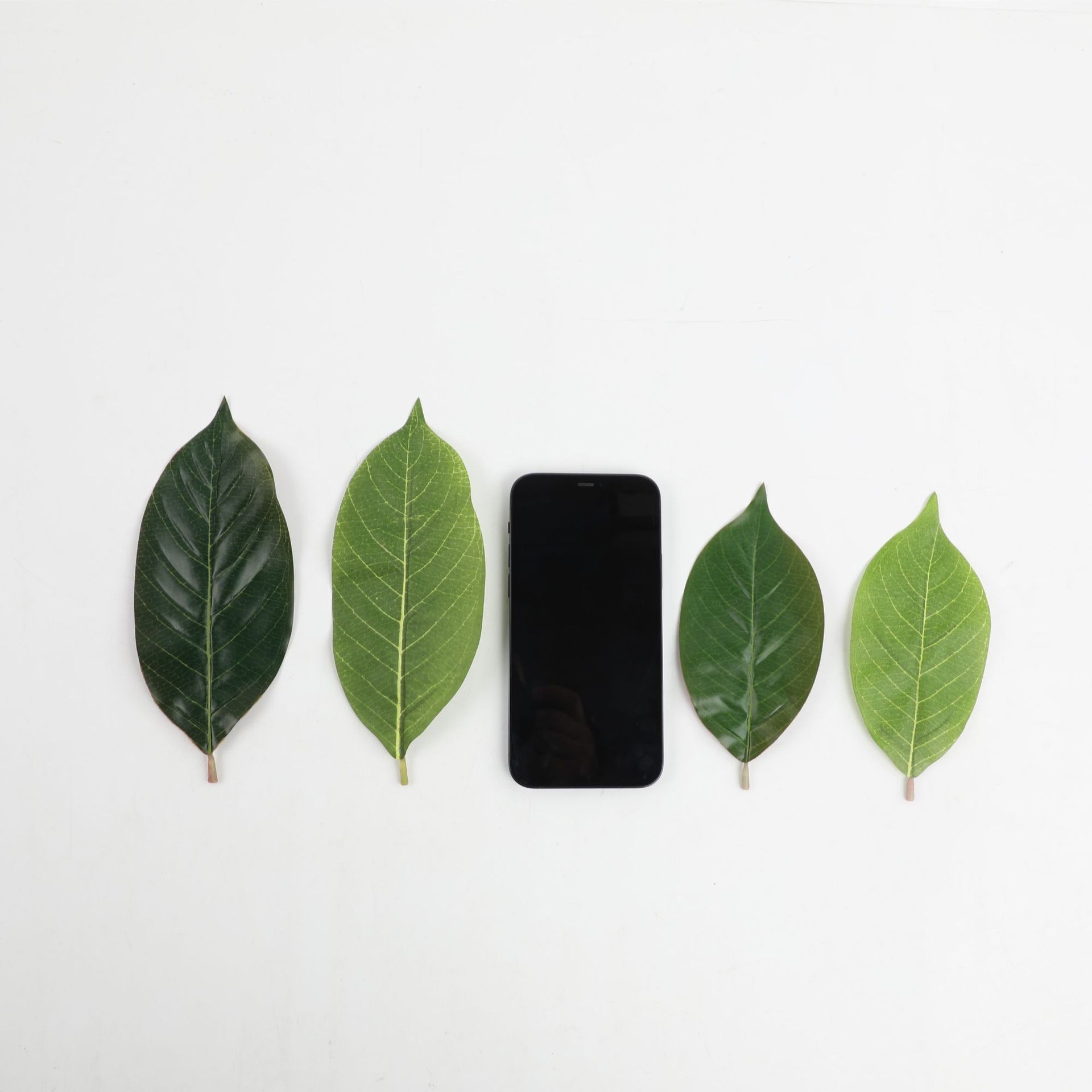 O1CN01xuBMlD1HJaoWuVBTj_!!2213