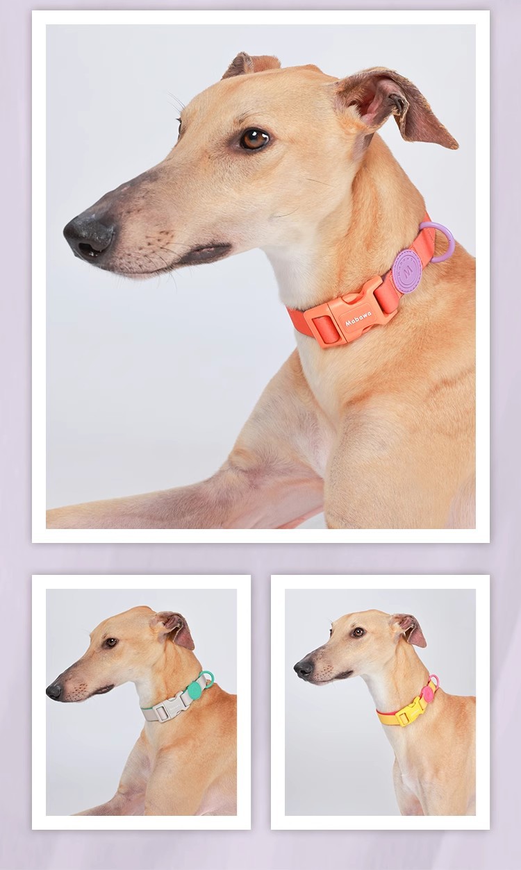 狗狗项圈防水狗圈狗项圈带牵引小型犬脖圈大型犬中型法斗脖圈详情8