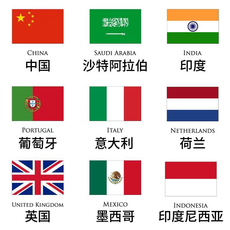 手摇各国国旗世界杯世界各国手摇旗旗帜摇旗详情8