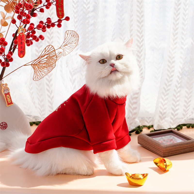 Año nuevo ropa de mascotas otoño invierno más peluche dos pies hoodies para perros ropa de gato teddy suministros fabricantes al por mayor pic 13