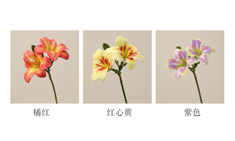 常欣两头君子兰_04.jpg