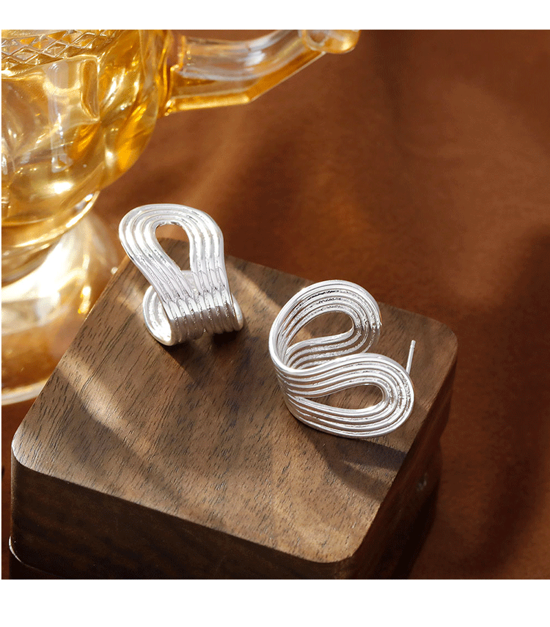 Hyacinth时髦个性港风金属冷淡风耳环2025年新款潮耳饰小众简约气质耳饰品详情6