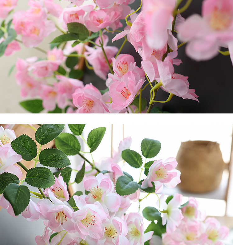 樱花_07.jpg