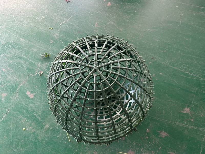 QQ图片20240724194936_副本