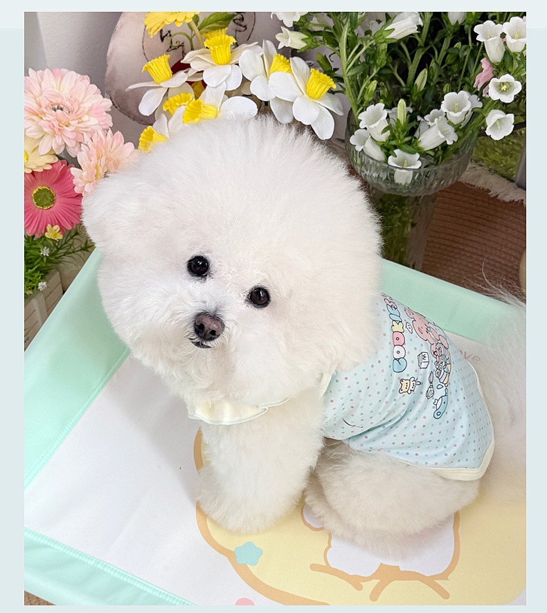 Spring and summer clothes for cats and dogs: Thin, cute, cartoon printed, stylish macaron-colored halter, Bichon and Pomeranian small, short style pic 12