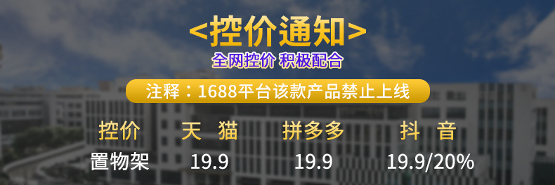 玄关置物架入户客厅卧室轻奢花朵装饰摆件钥匙双层塑料收纳整理架详情2
