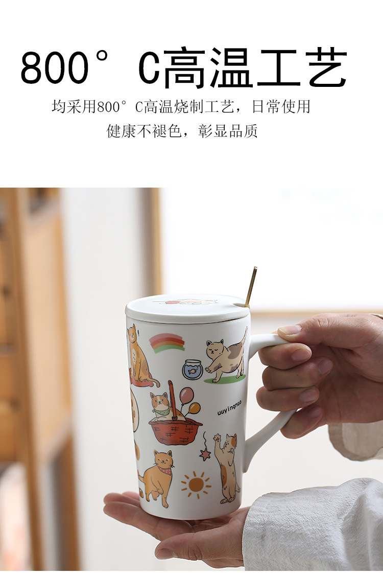 6.jpg?x-oss-process=image/format,png