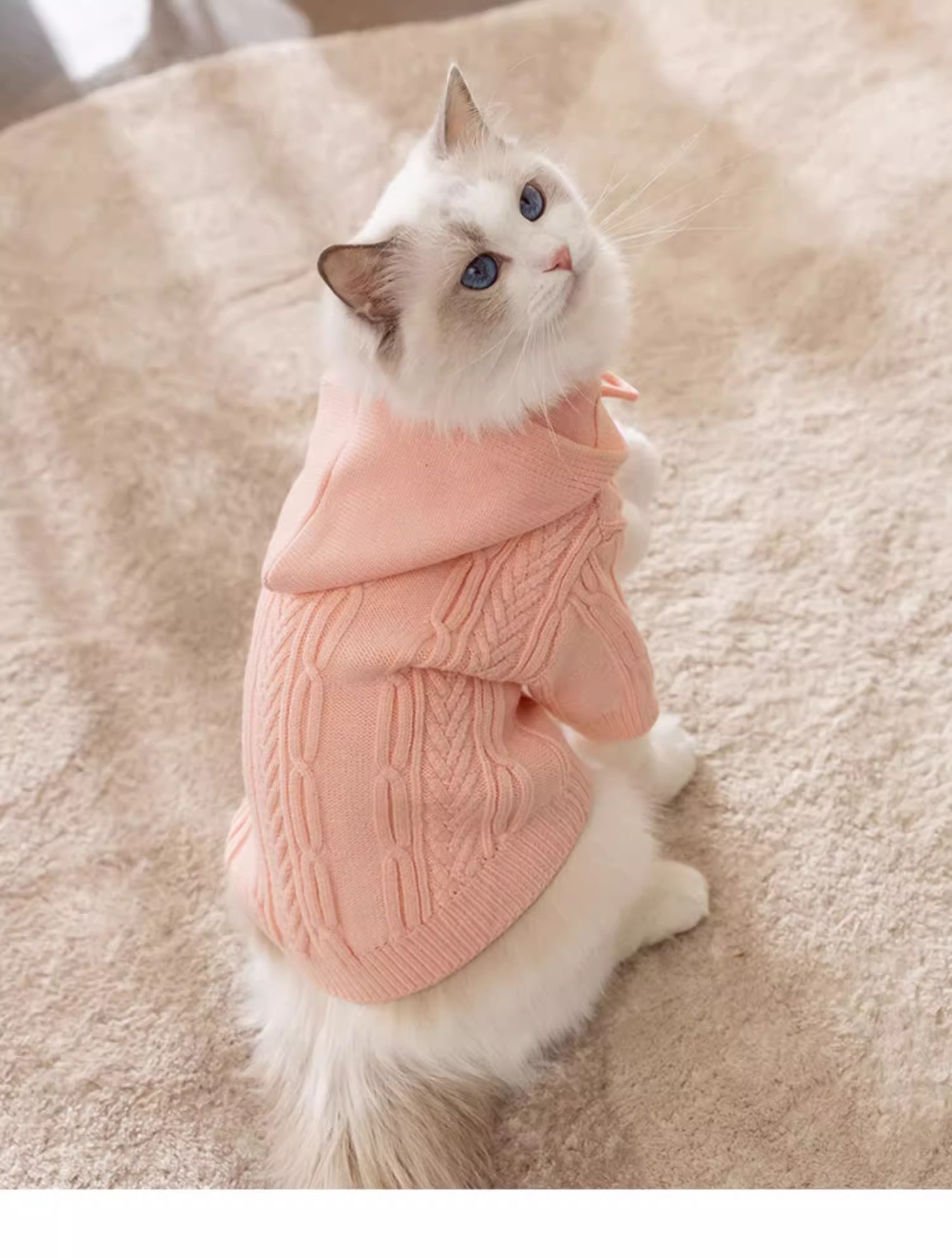 猫咪秋冬季连帽针织衫防掉毛猫咪衣服幼猫银渐层暹罗猫英短布偶猫详情9