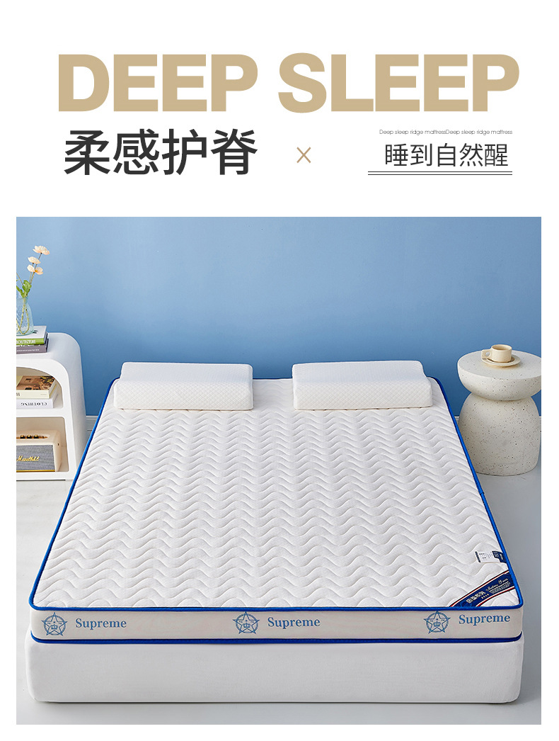 床垫子乳胶床垫宿舍床垫学生租房加厚褥子软垫家用打地铺神器双人详情3