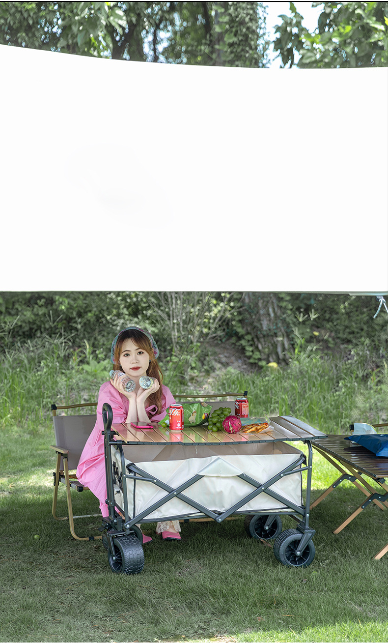 户外露营天幕帐篷定制印logo印字全遮光黑胶防晒野营凉棚防晒隔热详情7