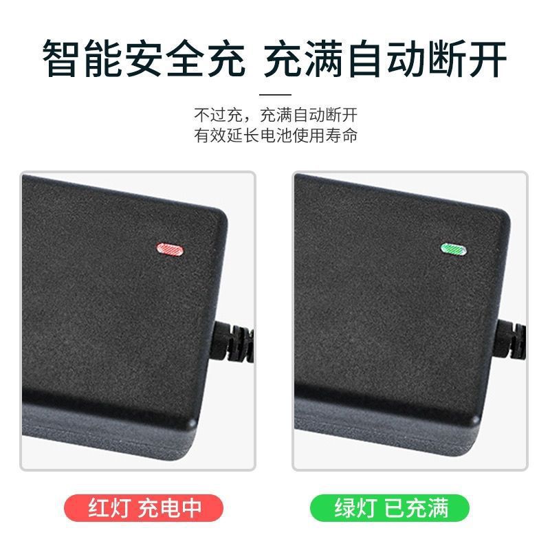 工厂各规格两轮儿童滑板车充电器通用平衡车漂移车充电器批发详情12