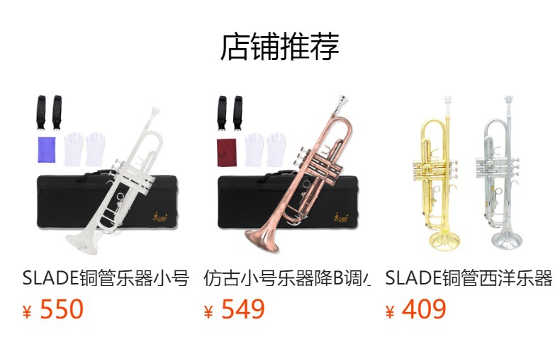 跨境乐器小号降B调演奏型小号学生成人初学通用标准小号套装喇叭详情2