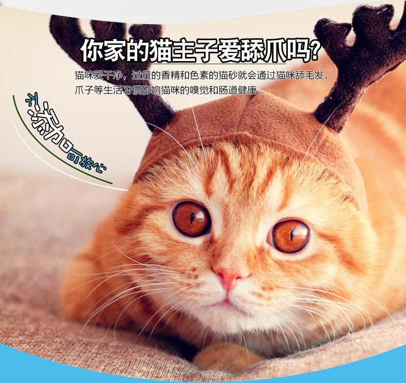膨润土猫砂现货批发柠檬猫砂包邮10公斤除臭结团猫沙低尘猫砂代发详情6