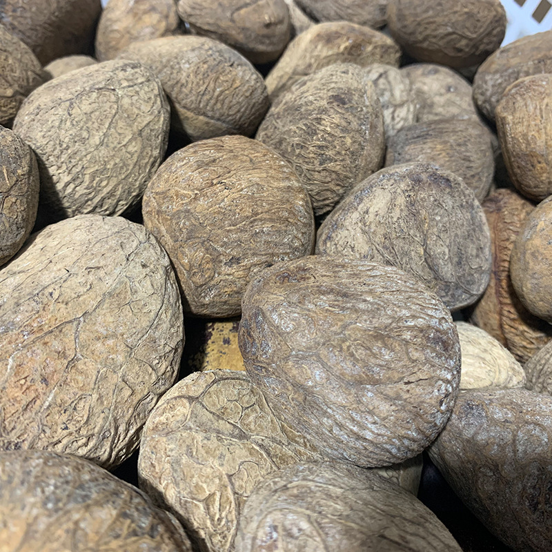 易碎印尼黑果果壳风铃diy植物混合果壳果实挂件果壳黑白两色详情6