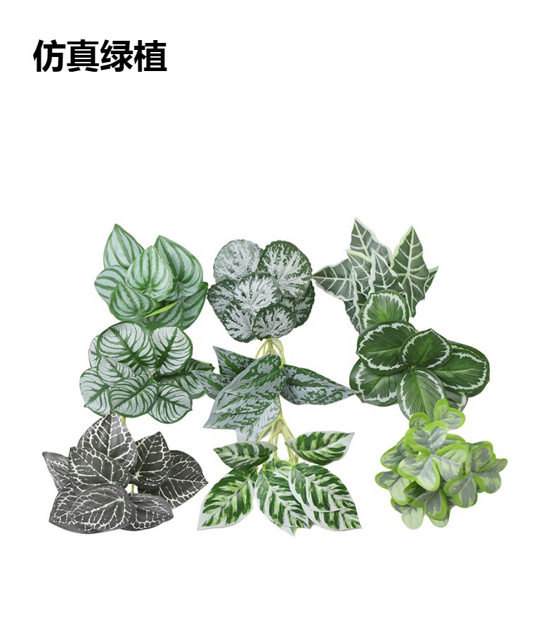 仿真绿植物镜片叶子圆贝叶中壁挂仿真绿植 婚庆造景搭配装饰树叶详情1