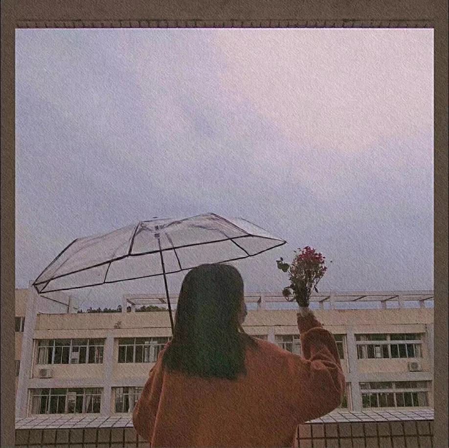 韩系透明雨伞折叠伞全自动ins系列男女款三折伞小清新加厚加固无详情10