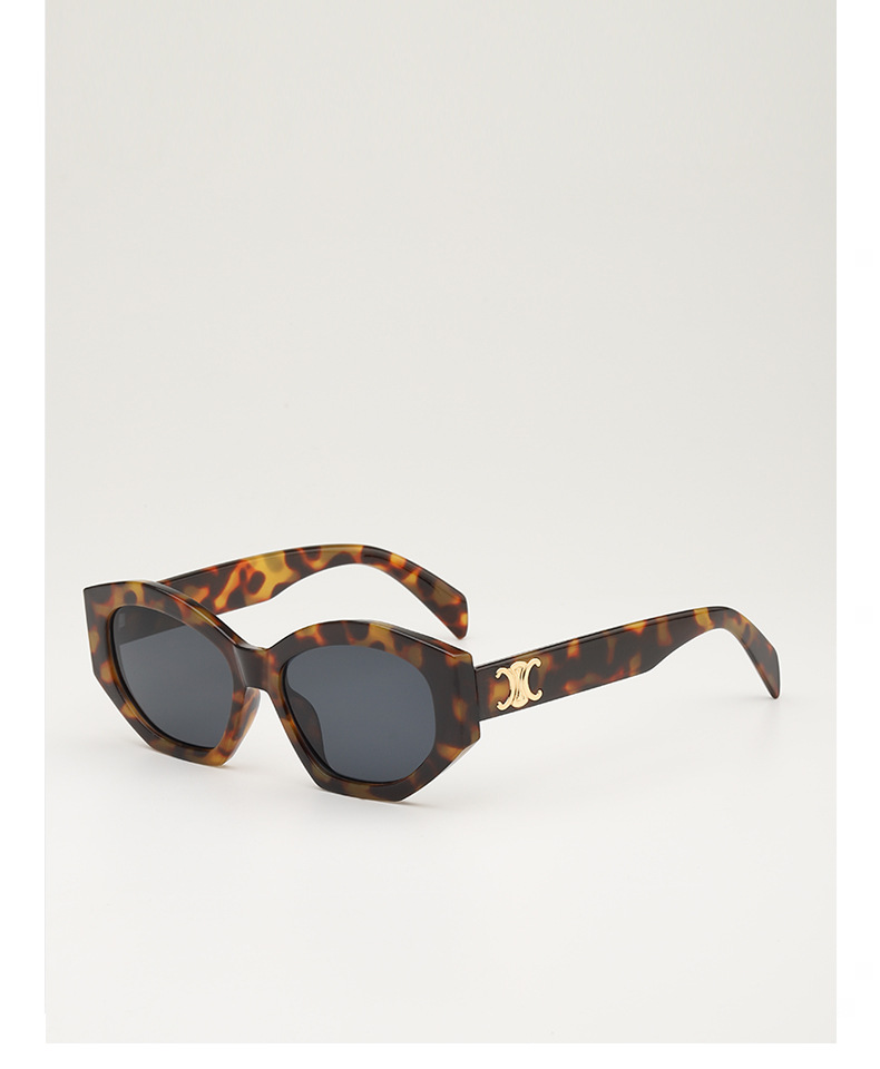 Retro triumph snow sunglasses for women, a new type of high-end oval angular sunglasses for sun protection and shading pic 13