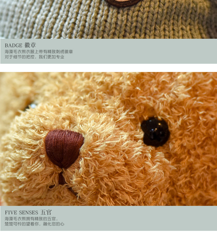 可爱抱抱熊泰迪熊公仔玩偶陪睡穿衣小熊布娃娃毛绒玩具礼物批发详情10