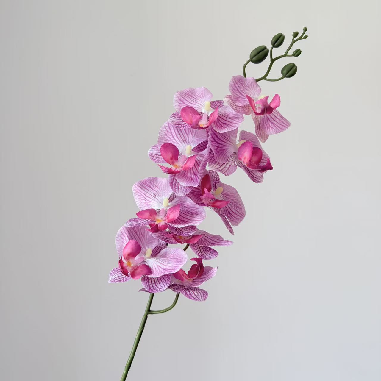 9头蝴蝶兰仿真花手感高级感逼真假花兰花艺场景布置酒店婚庆用花详情17