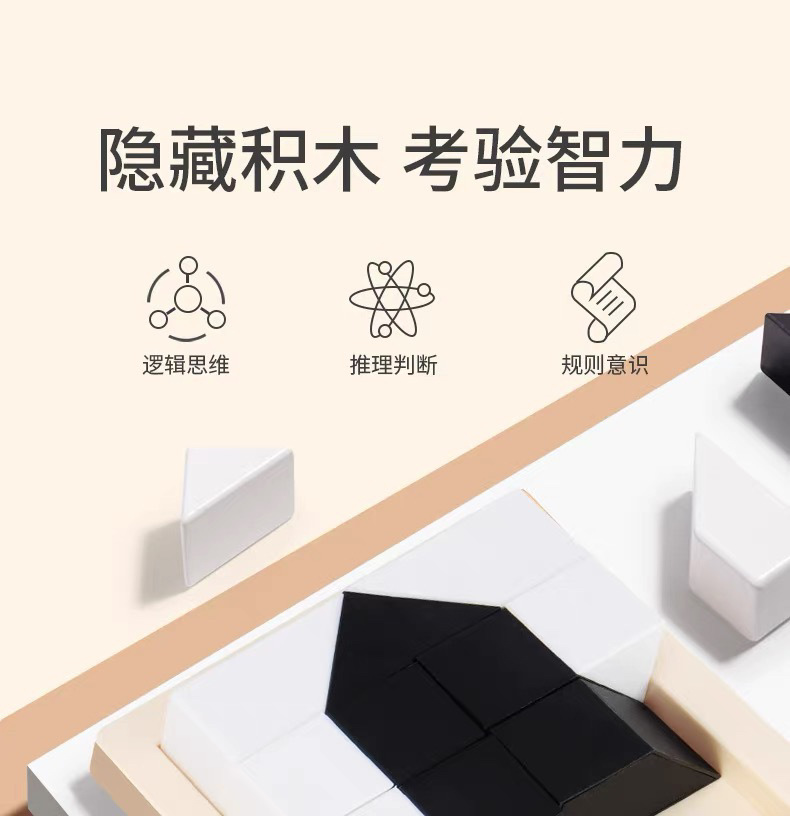 隐藏积木黑白拼图6到12岁以上男孩10-14女孩儿童益智拼装训练玩具详情3