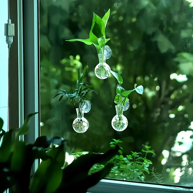 现代壁挂式水培花瓶透明水养插花挂墙上花盆绿萝水培器皿植物装饰详情5