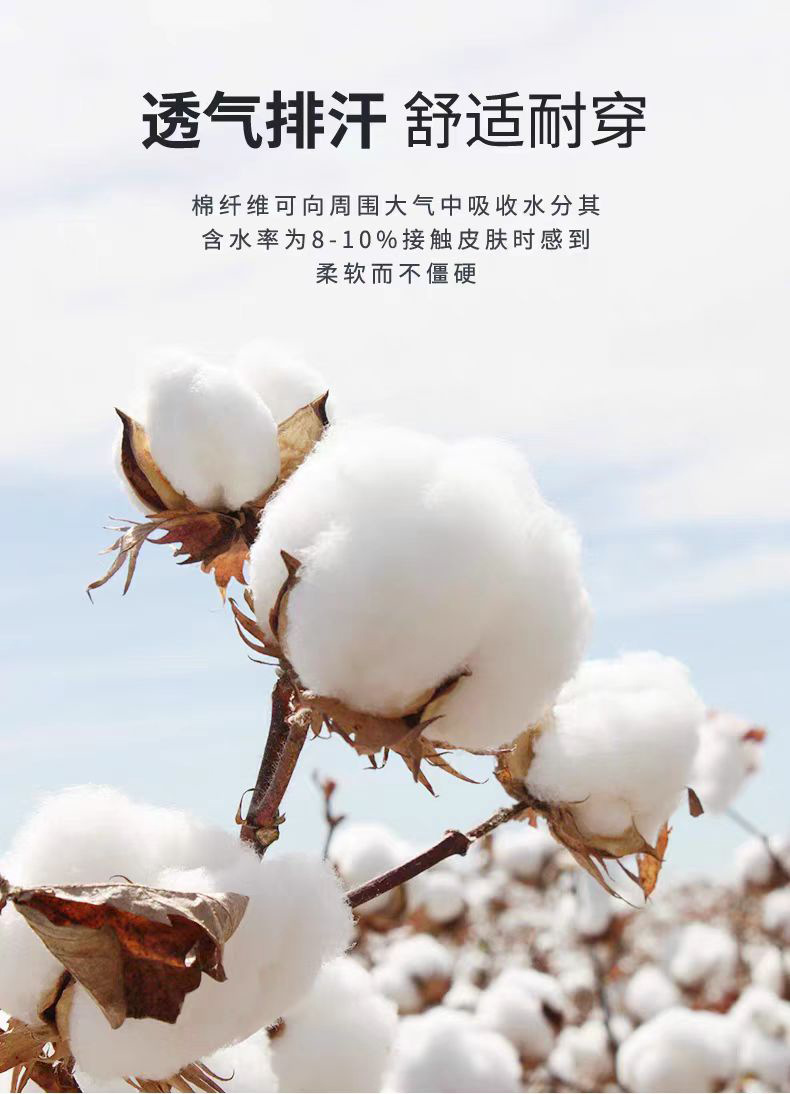 2025夏季新款7A抗菌透气男士短袖t恤14色230克纯棉圆领休闲T恤男详情3