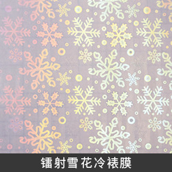 冷裱膜a4照片保护膜手工塑封膜自粘手工书签镭射树叶标本塑封膜详情16