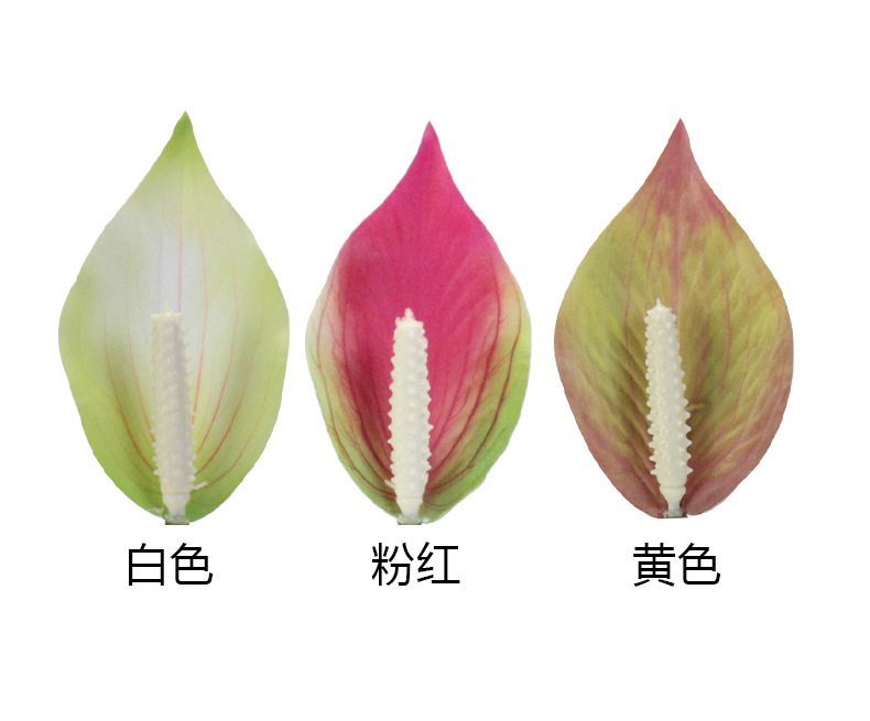 Floral decoration, potted plants, green plants, indoor ornaments, succulents, combination potted plants pic 3