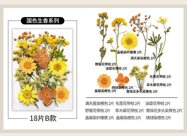 新款干花压花材料包贴脸装饰眼角写真花瓣diy滴胶相框植物标本详情11