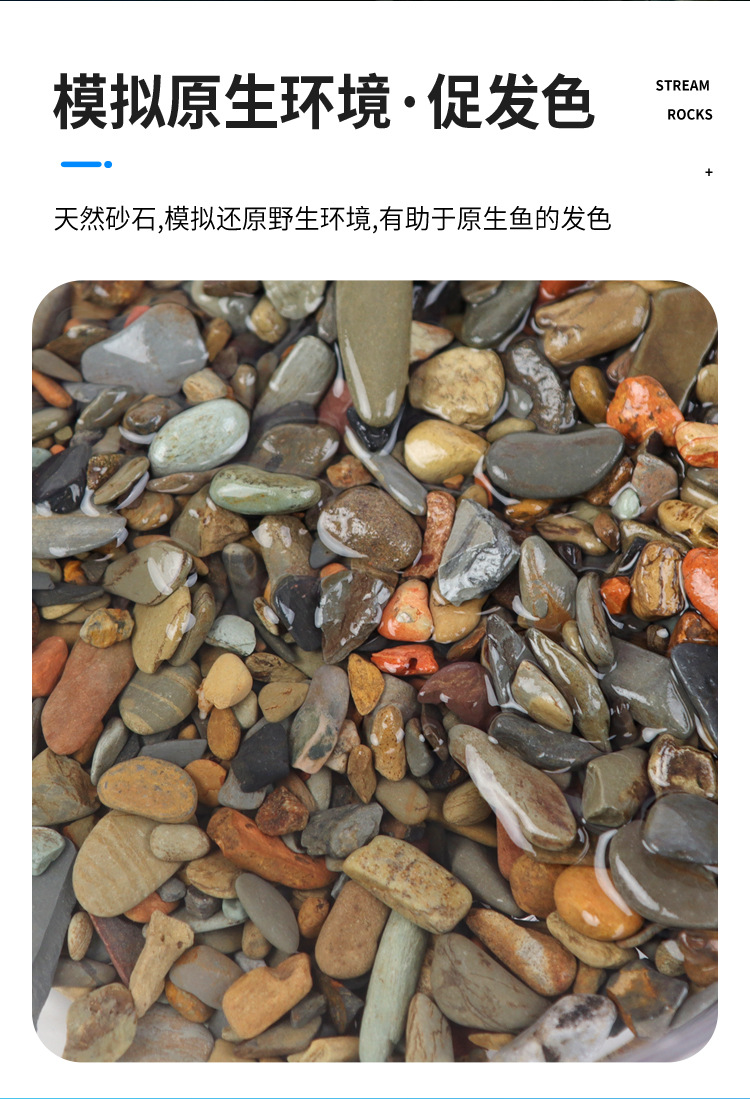 原生鱼缸造景底砂溪流石水草龟缸雷龙鱼草南美缸装饰铺底  溪流砂详情3