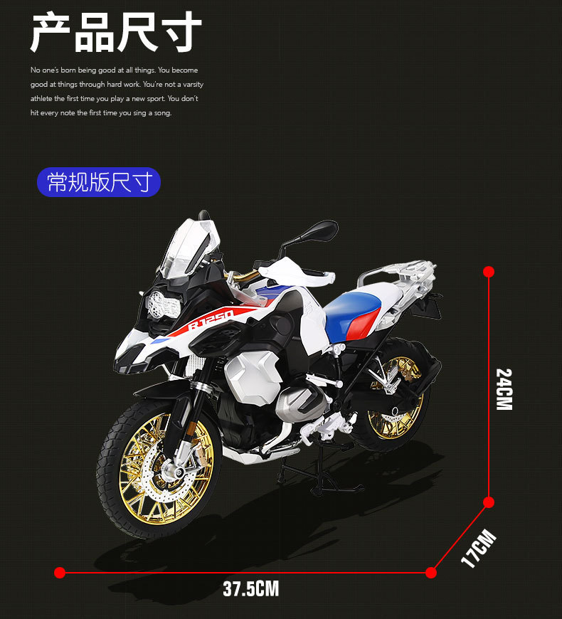 （盒装）仿真1比6水鸟R1250合金摩托车模型摆件玩具收藏代发详情9