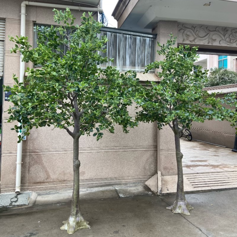 微信图片_20240925113955