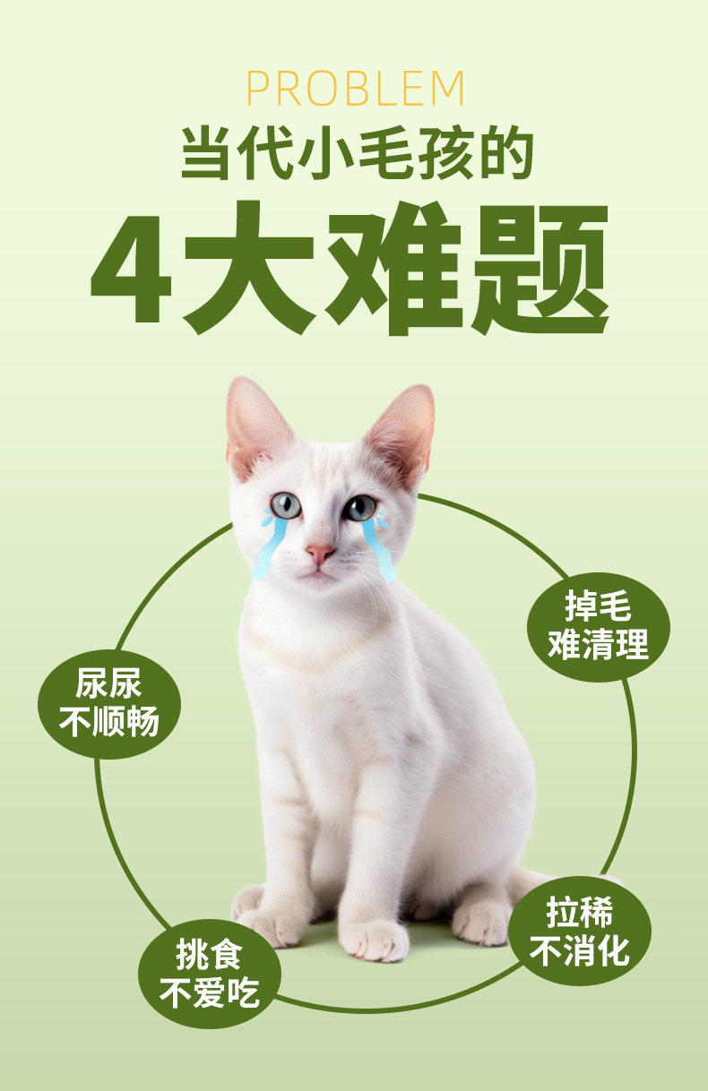 山东猫粮严选鲜肉成猫幼猫通用粮全价猫粮20kg猫舍40斤装代发猫粮详情4