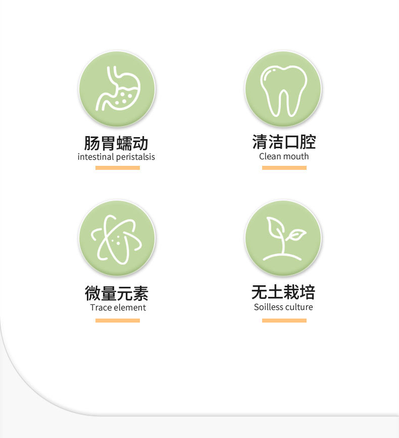 猫咪新款水培猫草盒 猫咪猫零食猫薄荷种植无土猫草套宠物猫草盒详情3