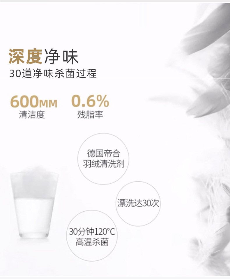 中老年保暖羽绒服男士加厚短款爸爸装可脱卸帽白鸭绒休闲大码外套详情3