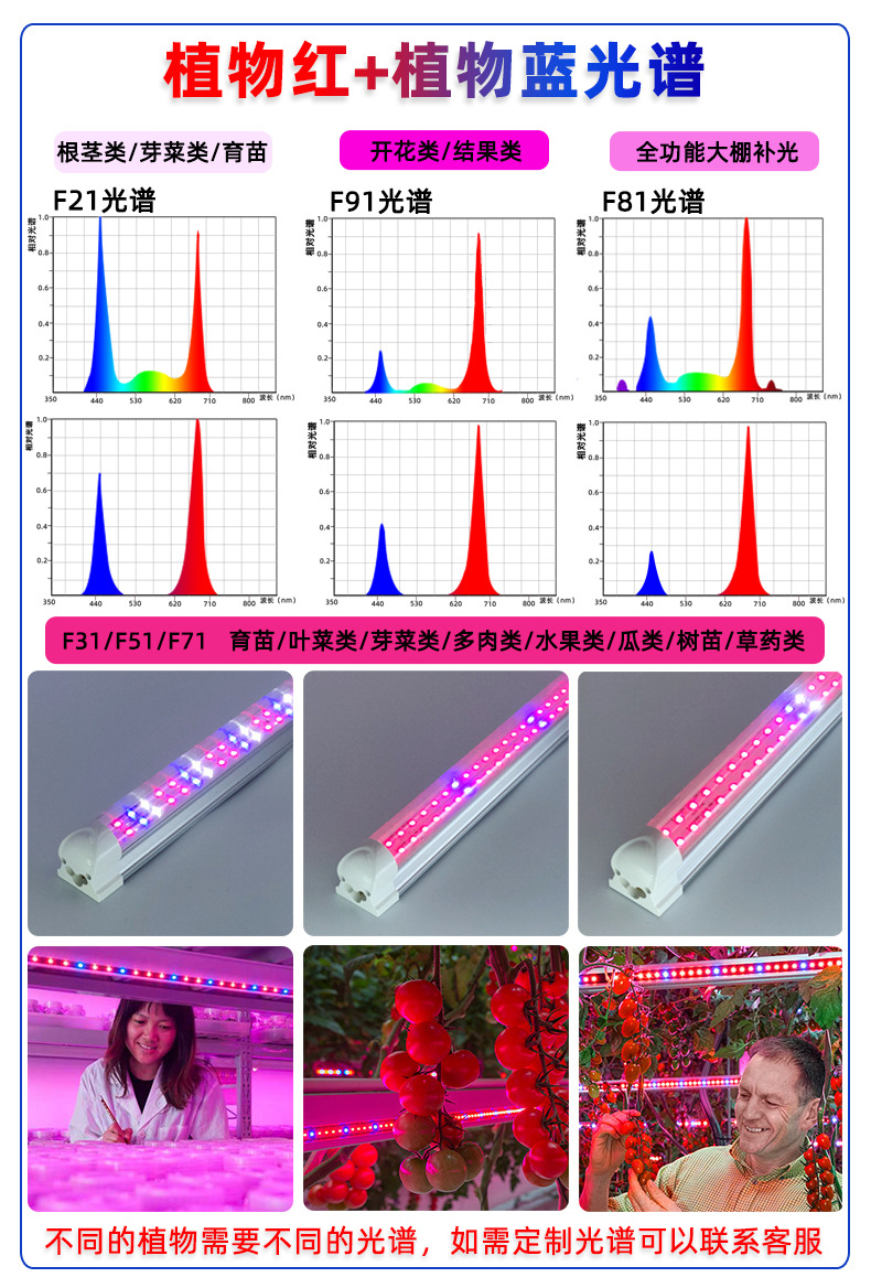 T8全光谱植物灯LED室内蔬菜育苗植物生长灯温室大棚多肉补光灯详情8
