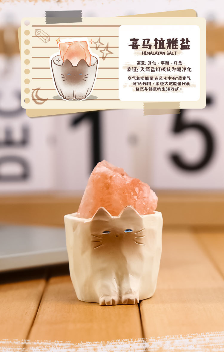 Wholesale of Catcat PAI crystal figurines, blind boxes, cute animal dolls, car decorations and stress-relieving small ornaments pic 6