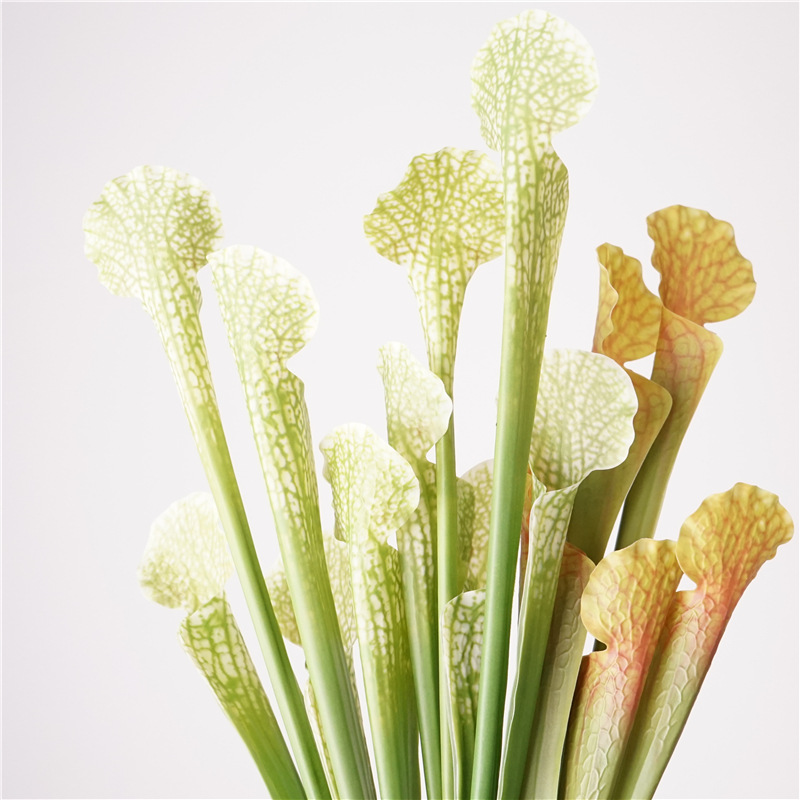 瓶子草高级感is简约风仿真花植物配件婚礼装饰批发花材花艺装饰详情9