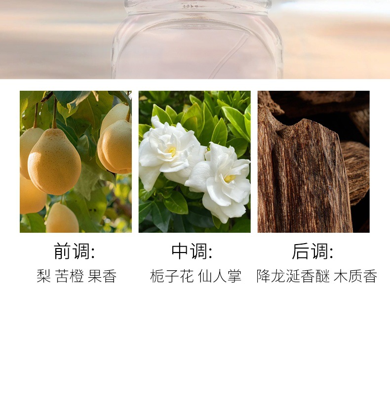 WARMKISS梦想之旅女士香水少女学生果香花香淡香清新自然持久跨境详情6