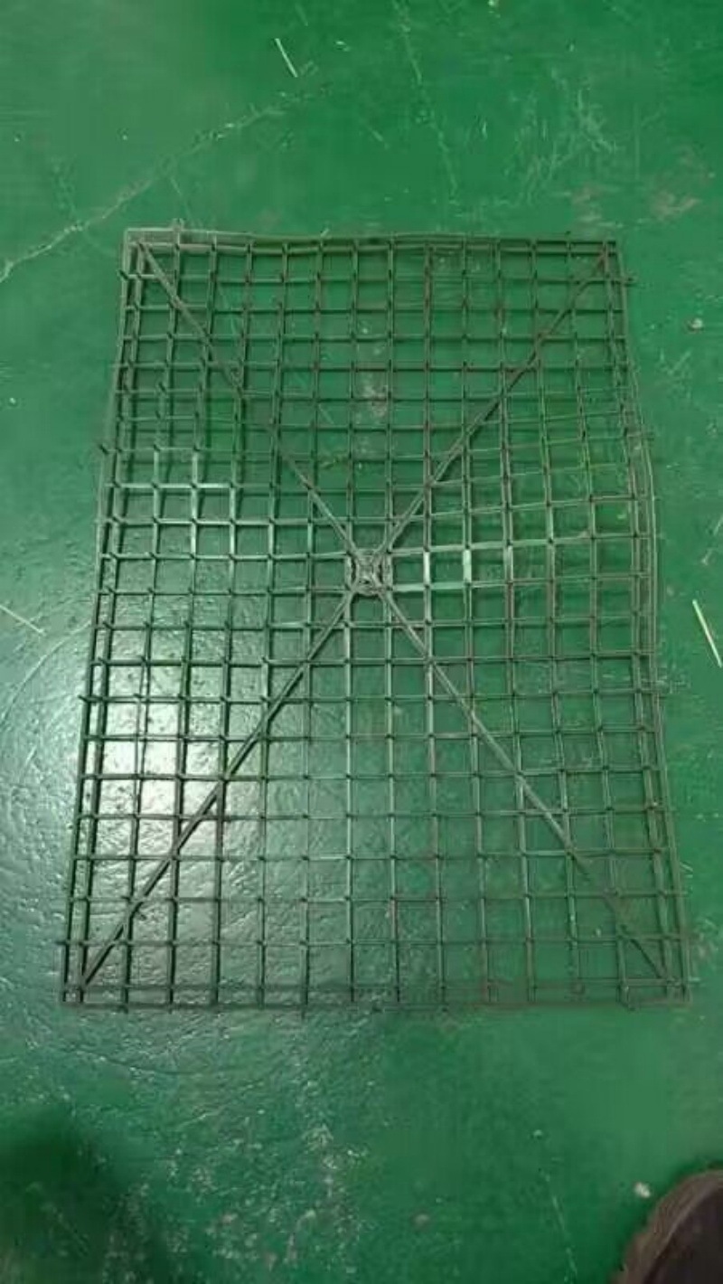 QQ图片20240725104251_副本