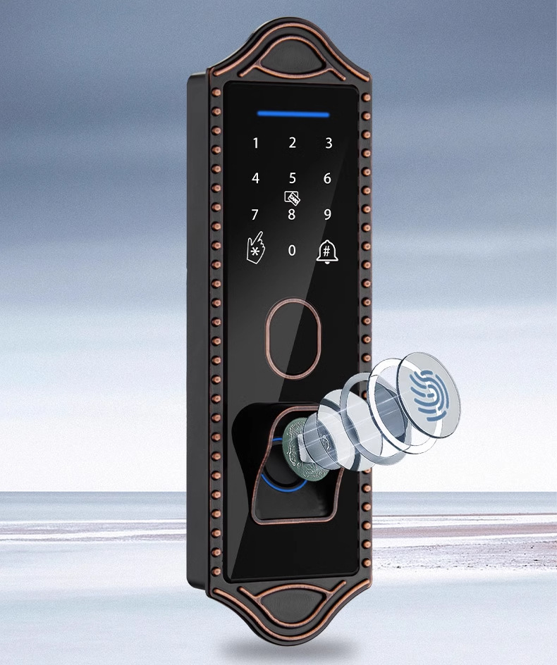 Bull head lock, electronic lock, anti-theft door, courtyard fingerprint lock, apartment iron gate, graffiti all smart lock, old-fashioned combination lock pic 10