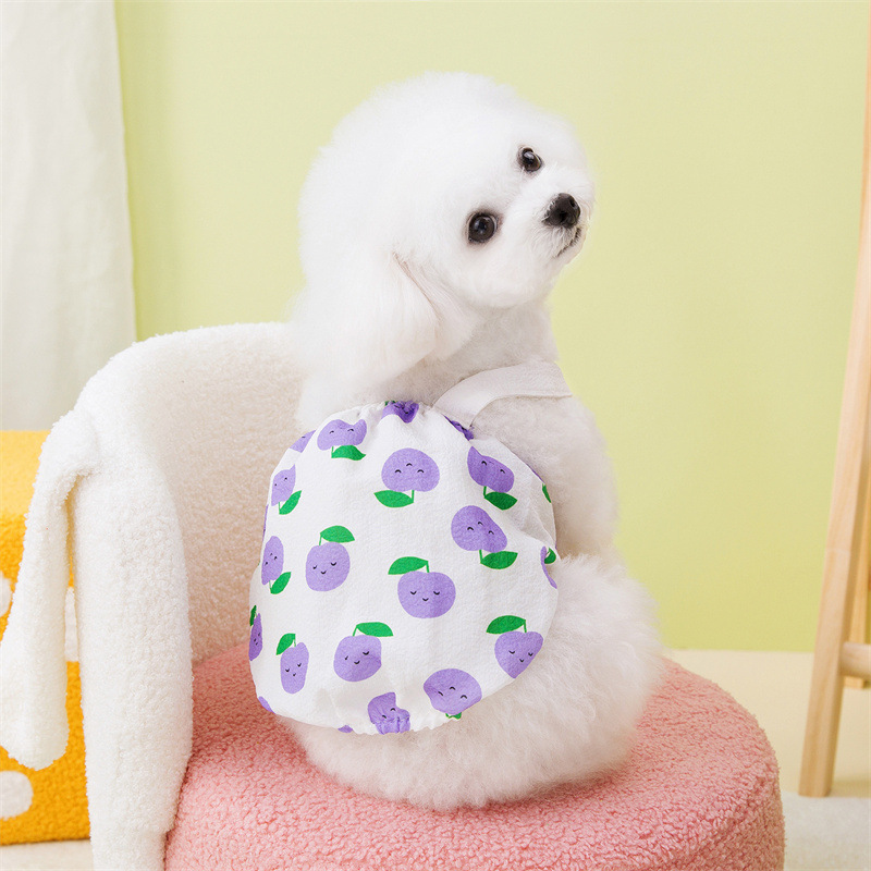 宠物裙子原厂批发春夏新款宠物狗狗猫咪裙子可爱舒适叶子水果裙详情4