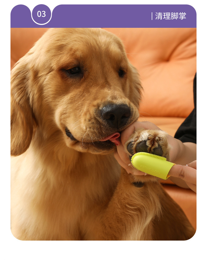 Cross-border pet toothbrush, finger toothbrush with handle, soft rubber teeth cleaning brush, dog and cat oral cleaning tools pic 14