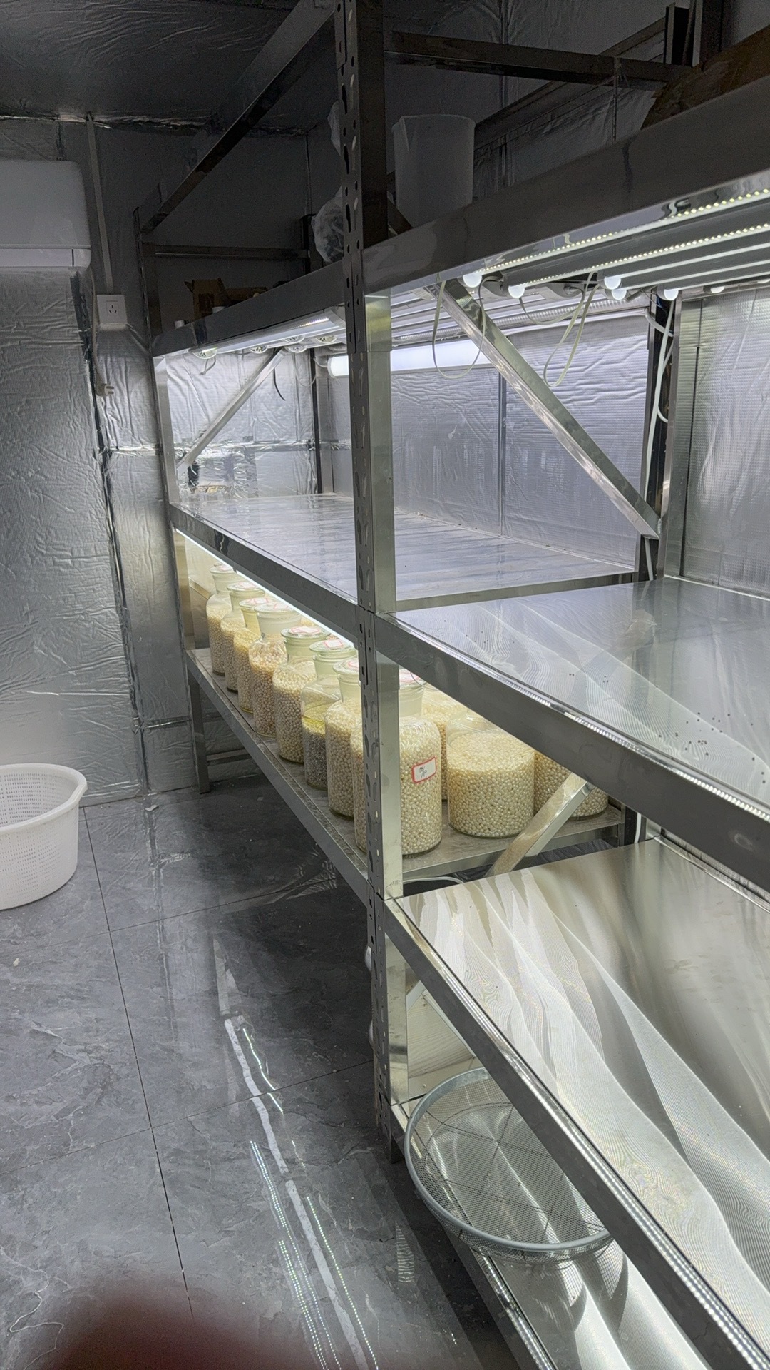 诸暨天然淡水珍珠3-4mm项链S925银极强光小米链baby链半成品可diy详情4