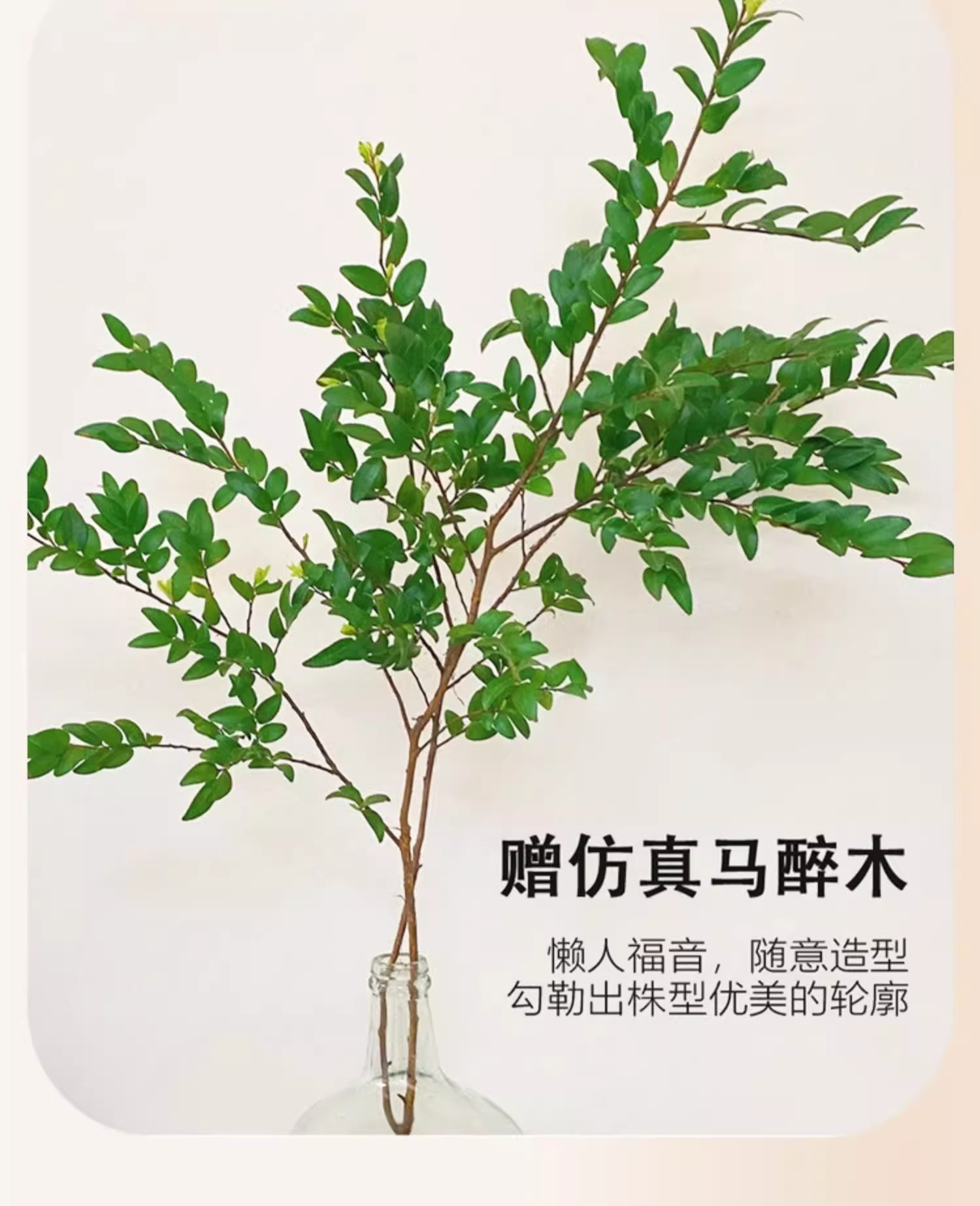 DIY餐厅装饰画奶油风客厅立体水培绿植壁画高级感砂岩肌理感挂画详情18