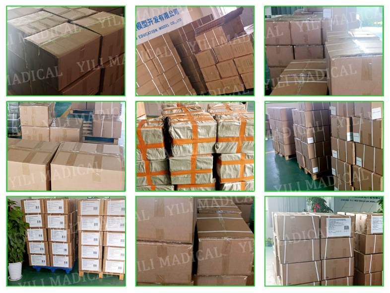 MTS Simulation Seven-line silicone suture practice Module Medical teaching aid Medical model suture training pad pic 5