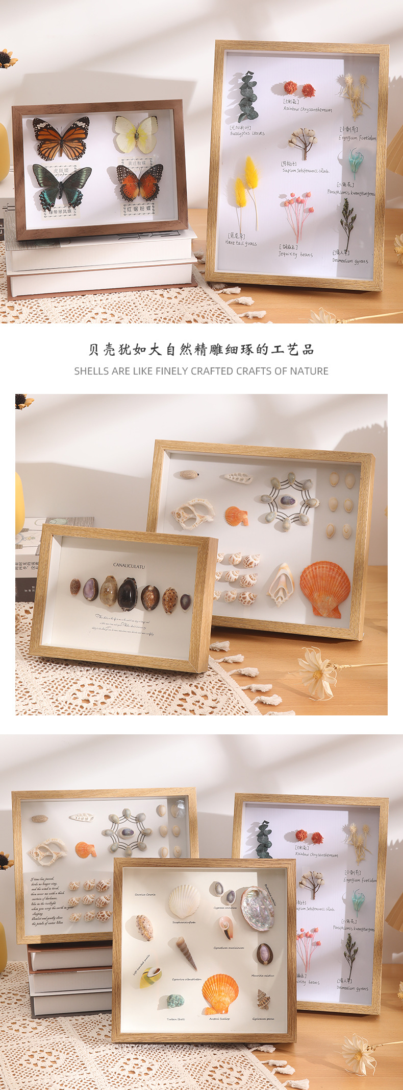 中空立体干花相框空框灯光摆台蝴蝶标本相框DIY贝壳海螺装饰画框详情11