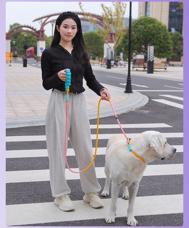 Outdoor dog leash, large dog P-chain pet leash, medium and large dog explosion-proof impact multi-functional dog walking leash pic 11