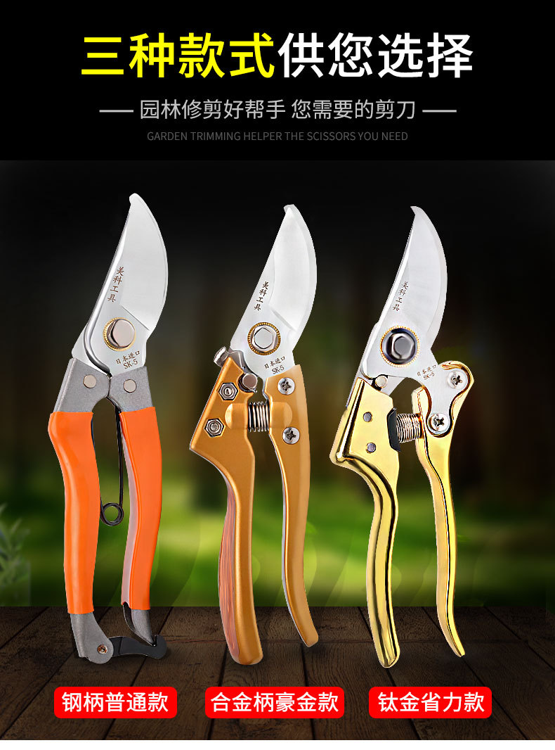 修枝剪园艺剪刀果树剪家用省力修树枝剪子修花工具日本外贸园林剪详情9